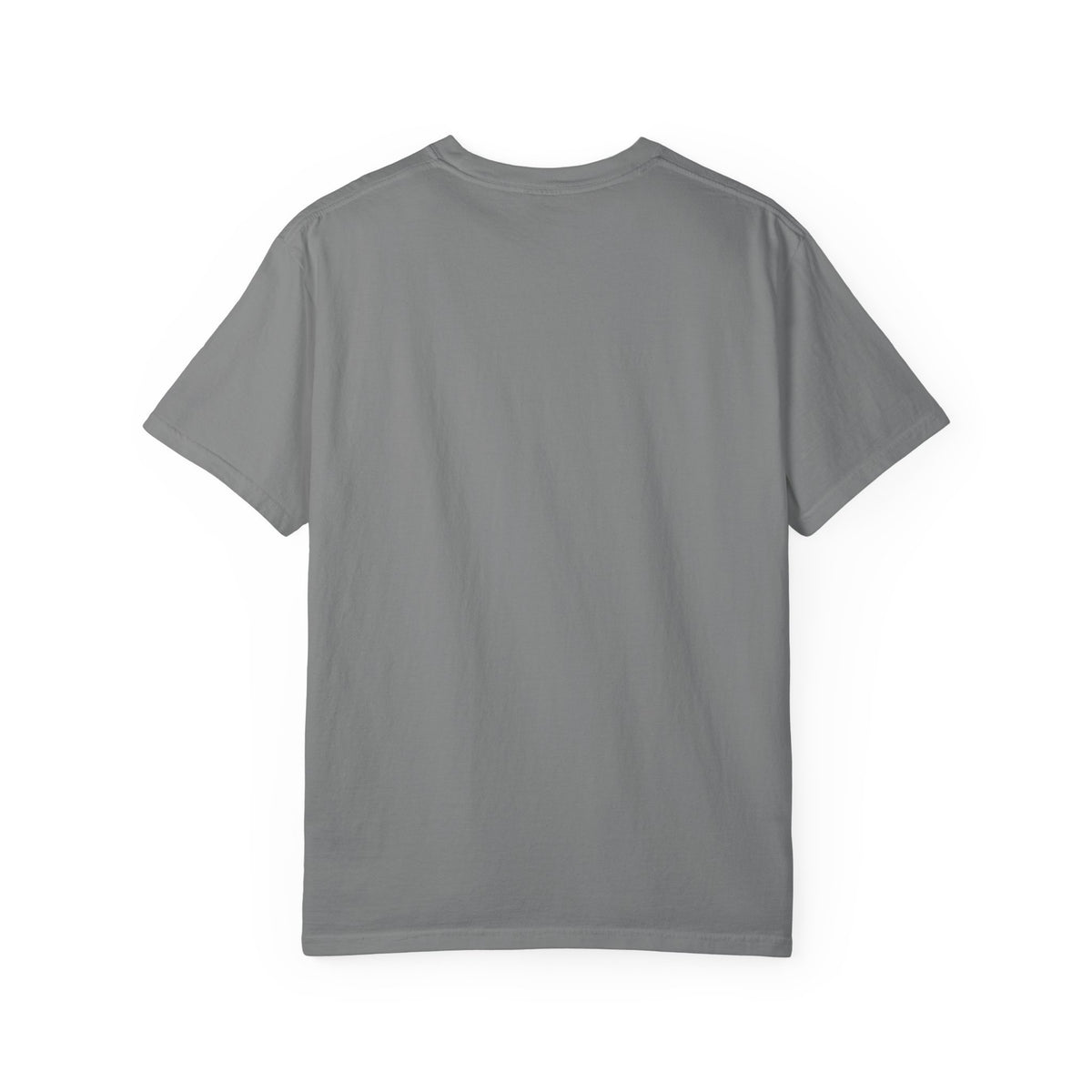 Backup Plan T-Shirt — "Your Backup Plan Has Arrived" Graphic Tee