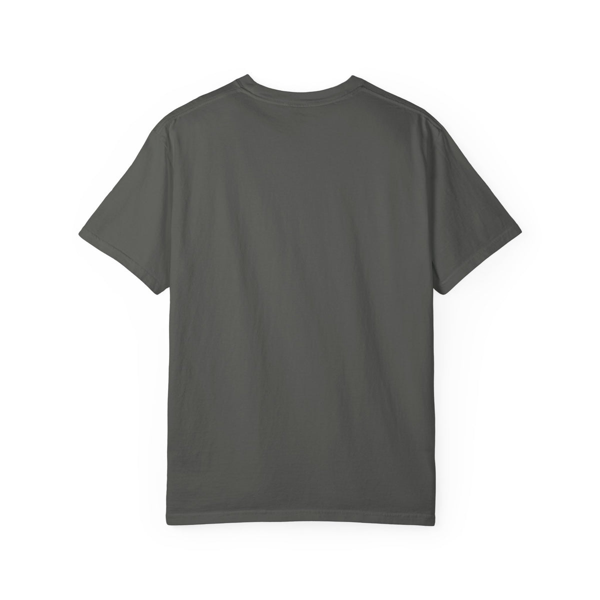 Backup Plan T-Shirt — "Your Backup Plan Has Arrived" Graphic Tee